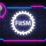 FitSM Quiz