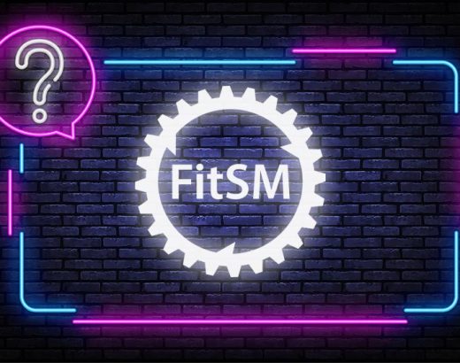 FitSM Quiz