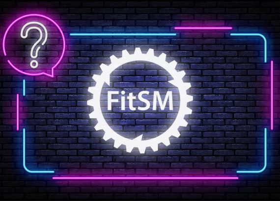 FitSM Quiz