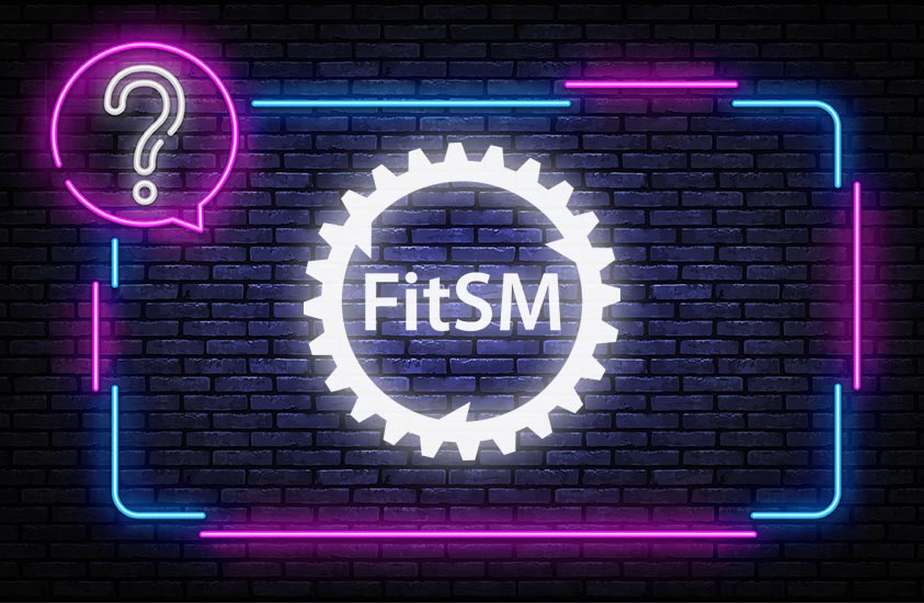 FitSM Quiz