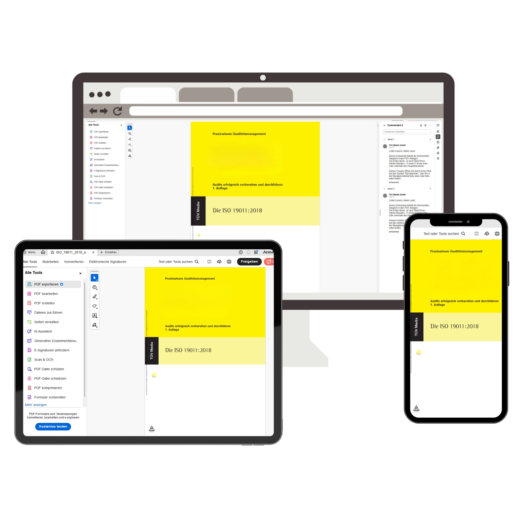 Darstellung des kostenlosen ISO 19011 E Books im PDF Viewer auf Laptop, Tablet und Smartphone für Schulungszwecke