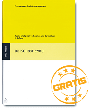 Praxisbuch - ISO 19011 2018