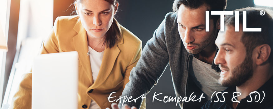 ITIL Expert Kompakt (SS & SD)